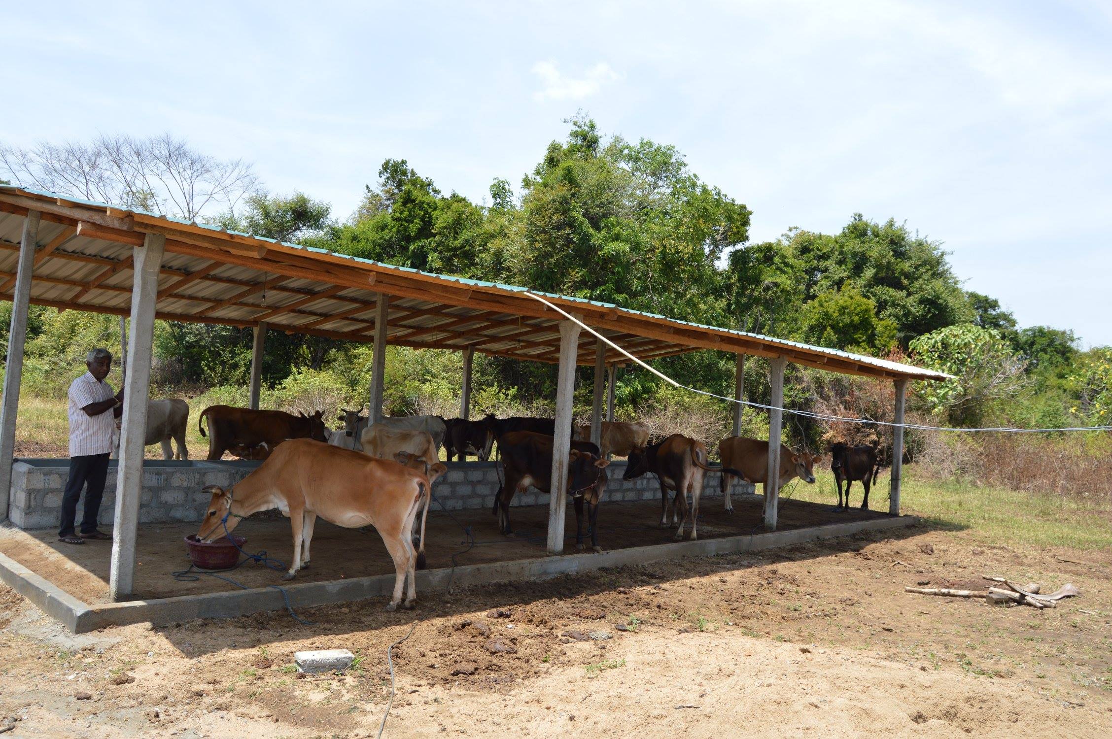 Funding for Dairy Farm Funding for Dairy Farm