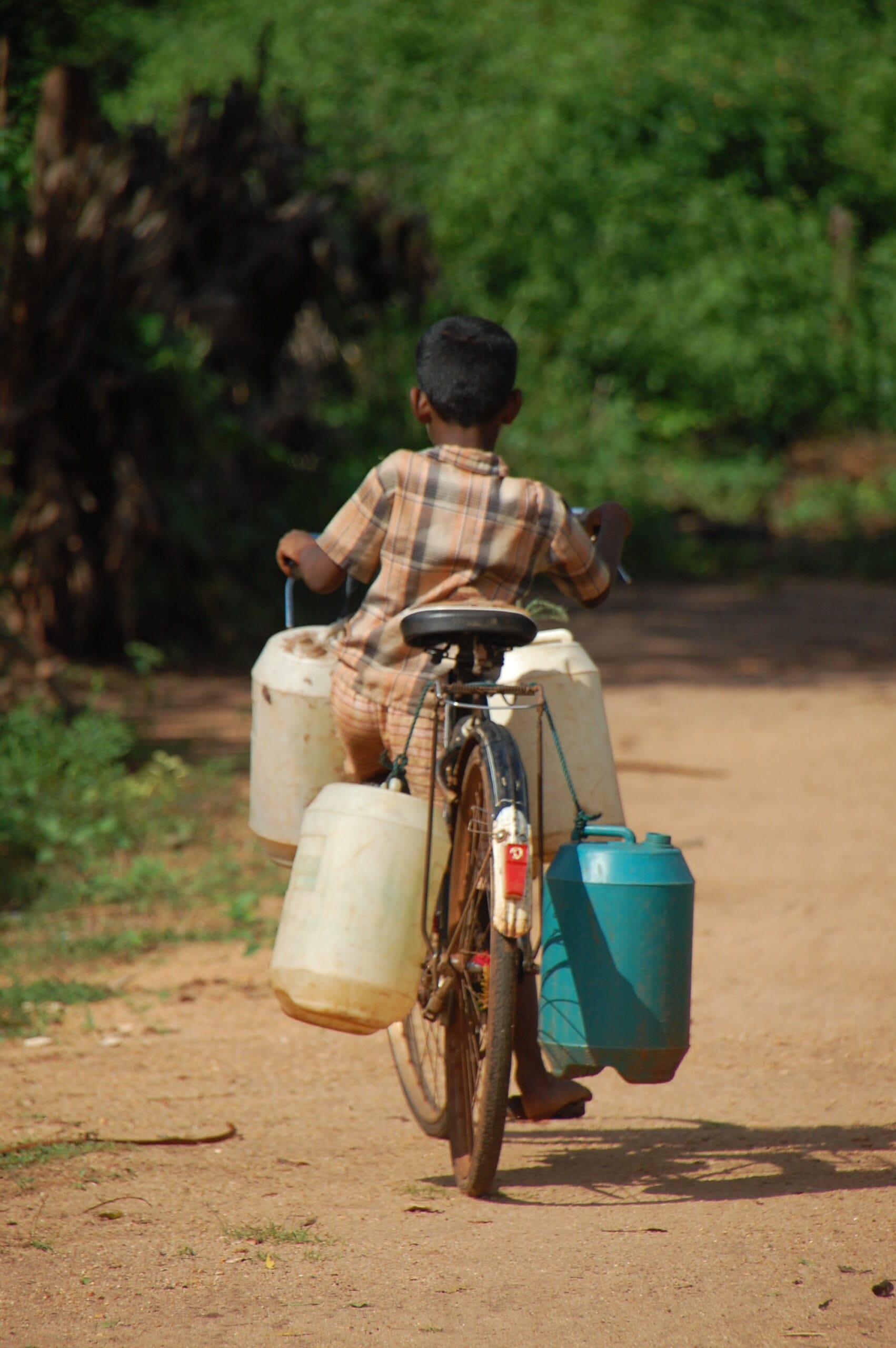 Drinking Water Drinking Water