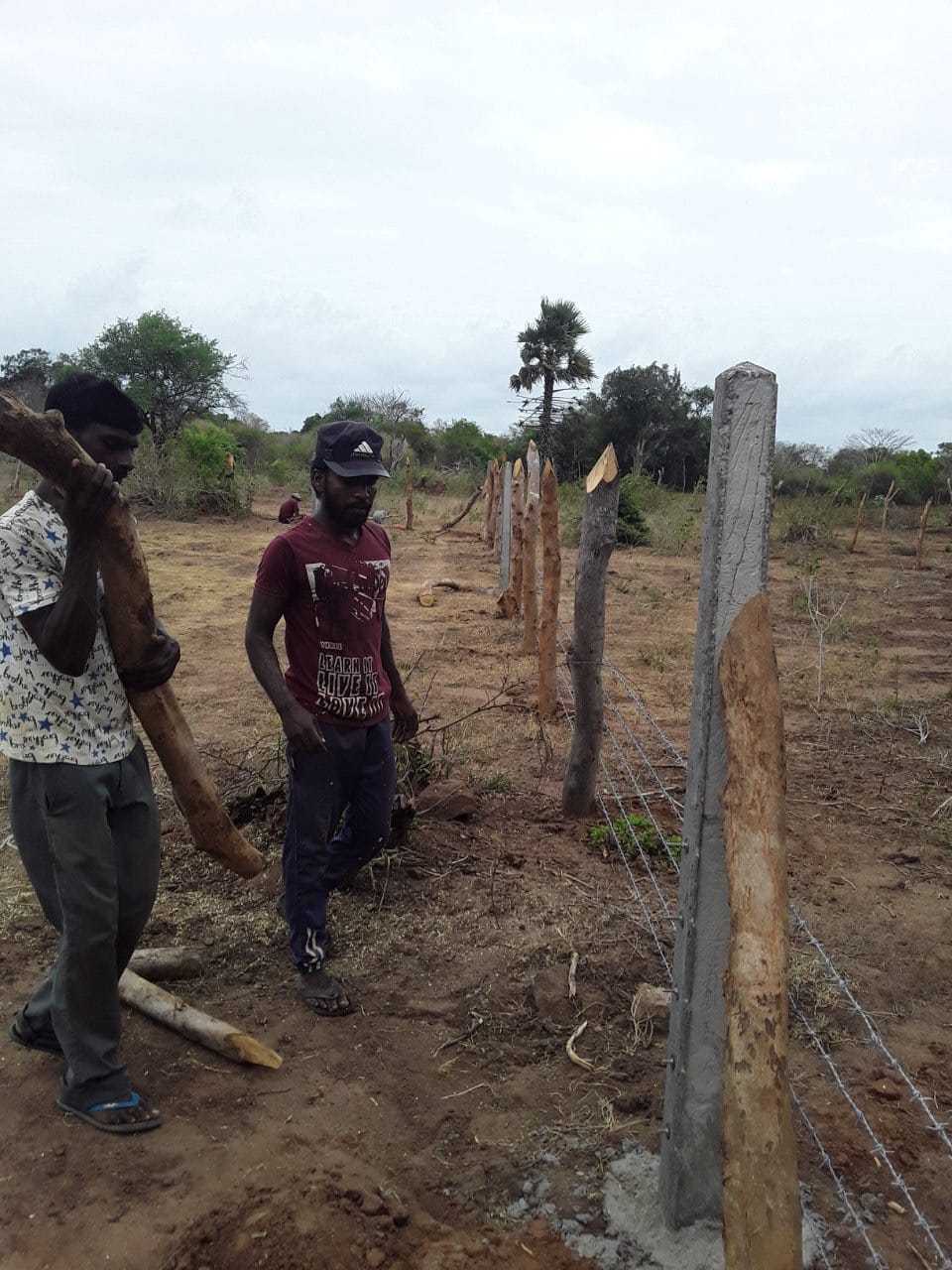 Farm Fence Construction (2) Farm Fence Construction (2)