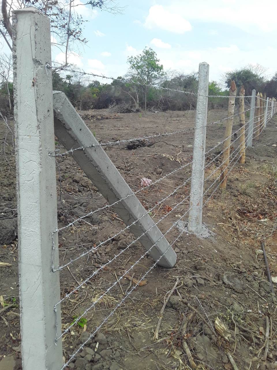 Farm Fence Construction (4) Farm Fence Construction (4)