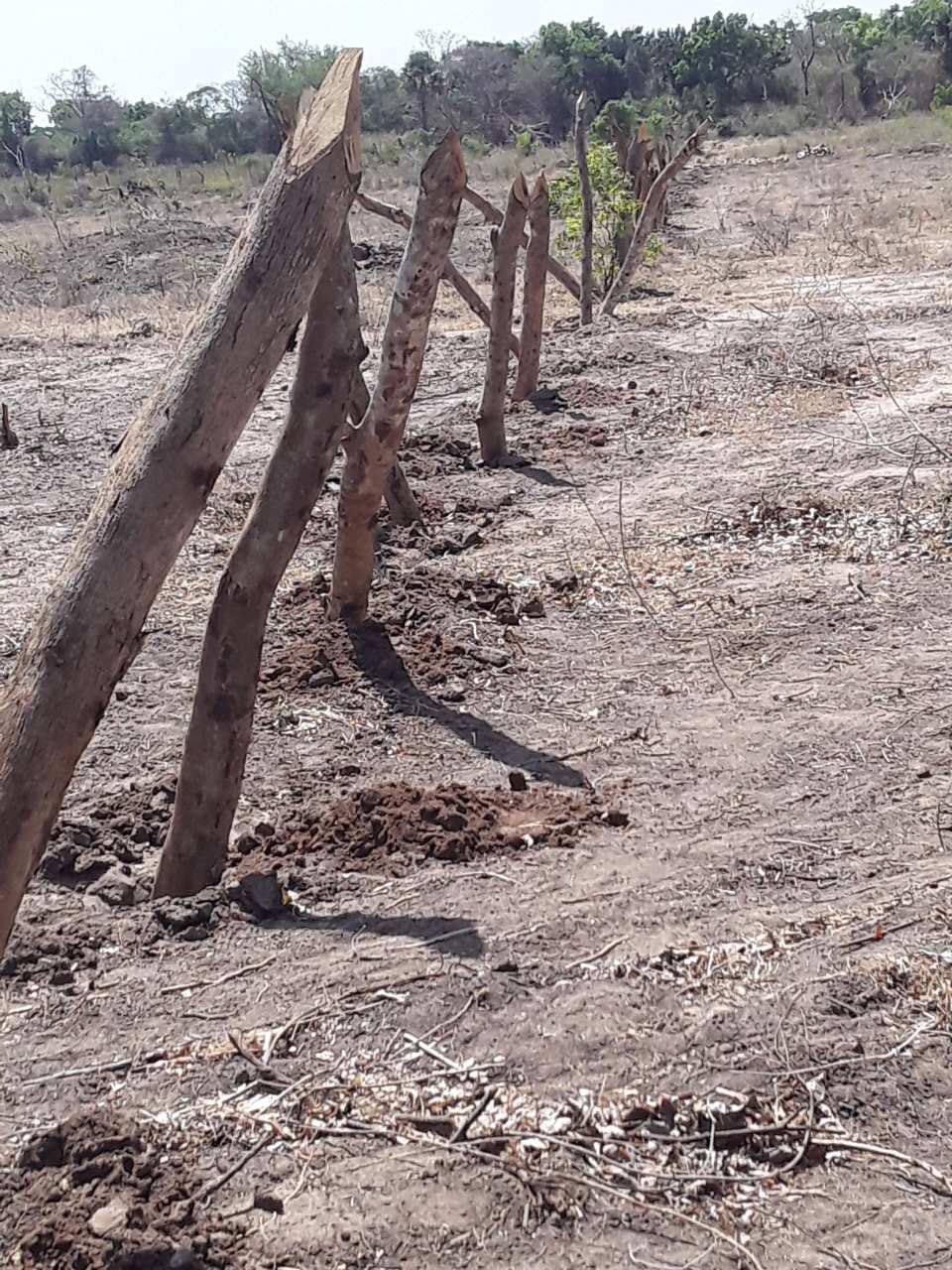 Farm Fence Construction (5) Farm Fence Construction (5)