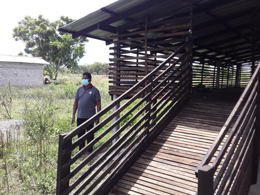 Goats Farm Goats Farm