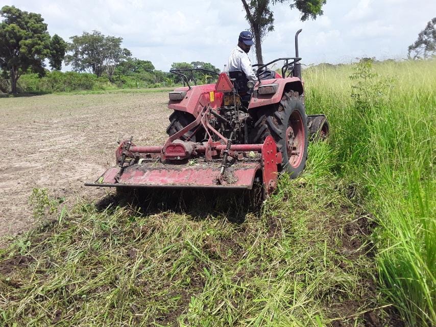 Paddy Field Paddy Field