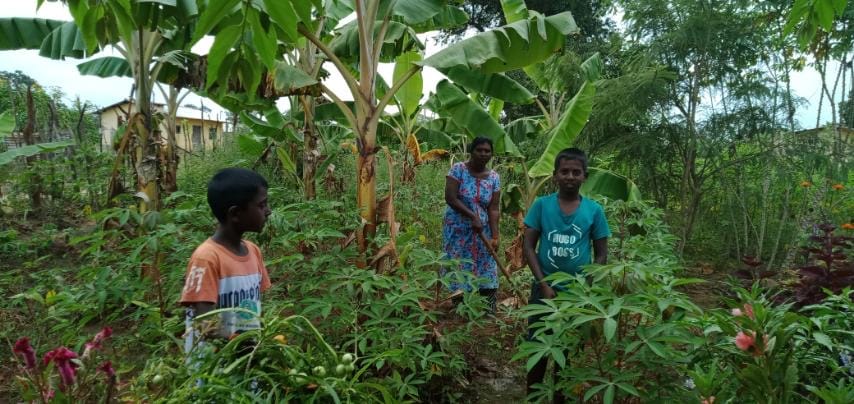 Home Garden Home Garden