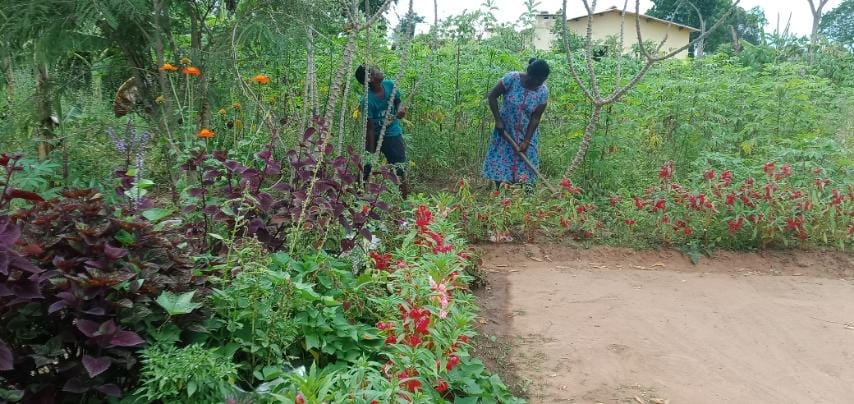 Home Garden Home Garden