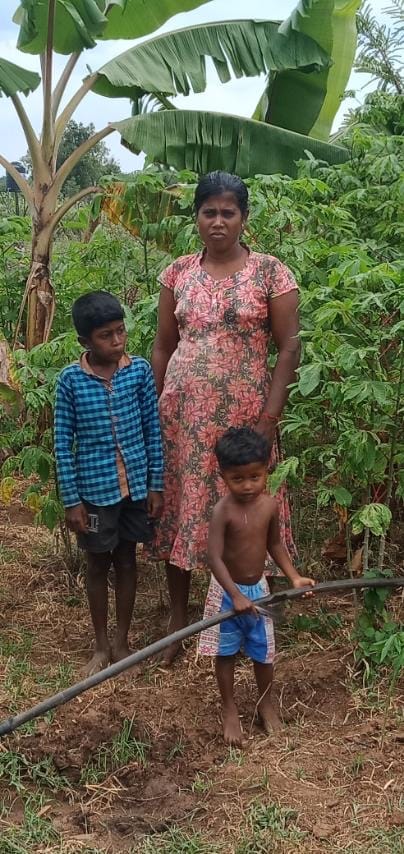 Home Garden Home Garden