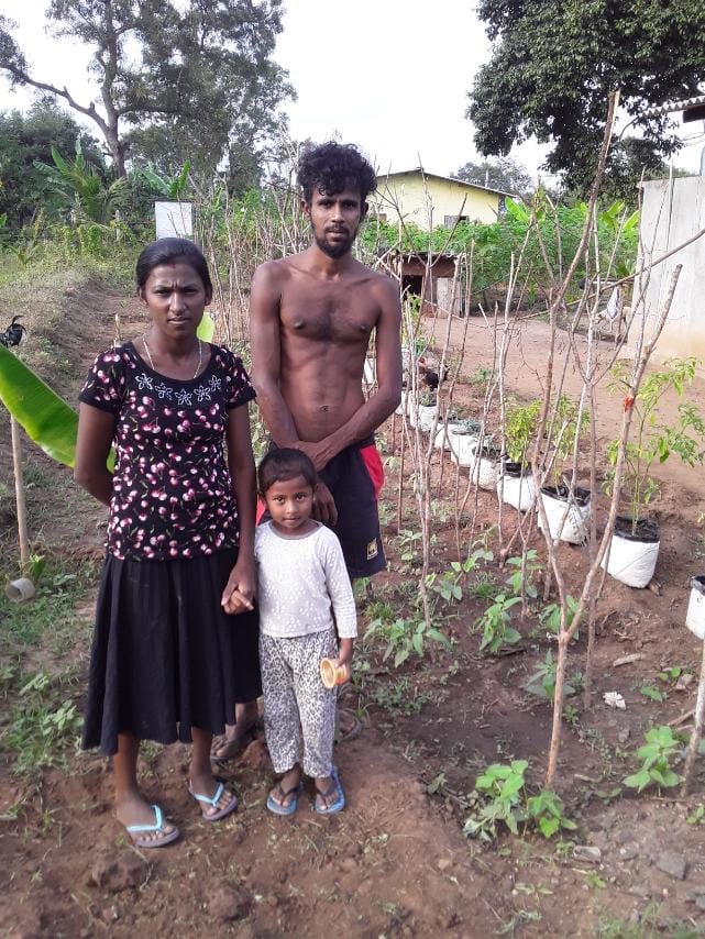 Home Garden Home Garden