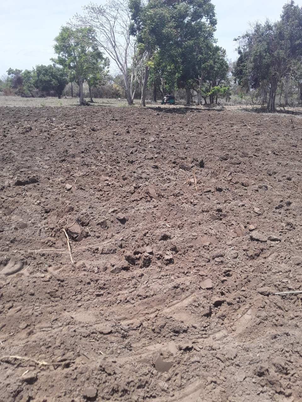 Land Cleaning (1) Land Cleaning (1)