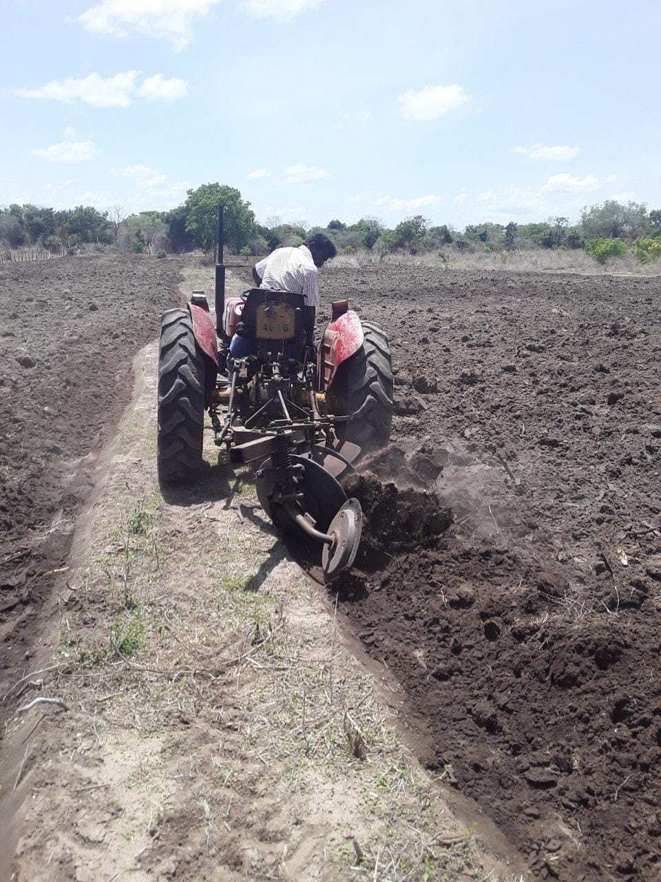 Land Cleaning (2) Land Cleaning (2)