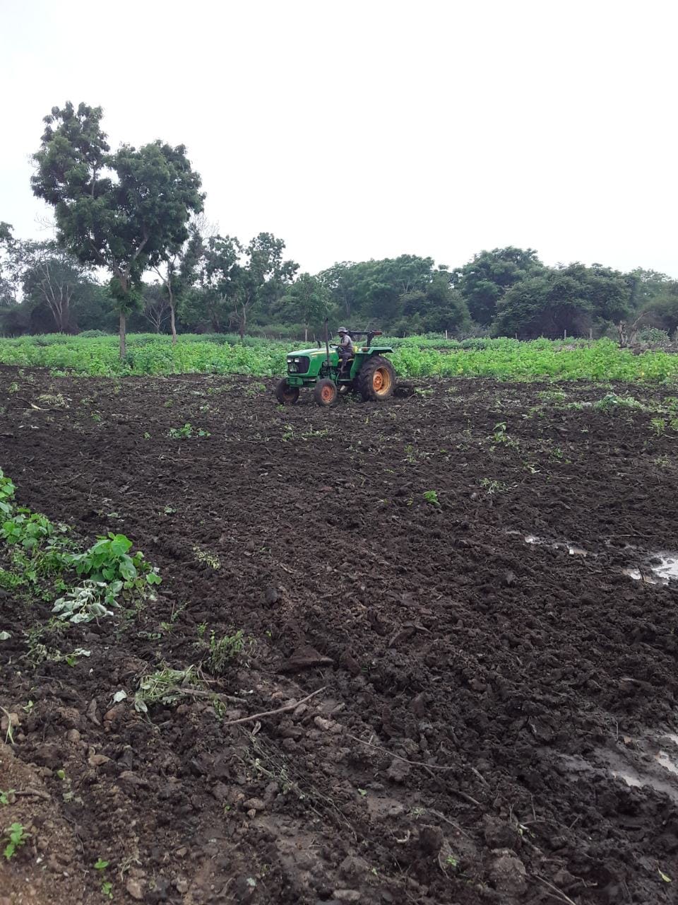 Land Cleaning (3) Land Cleaning (3)