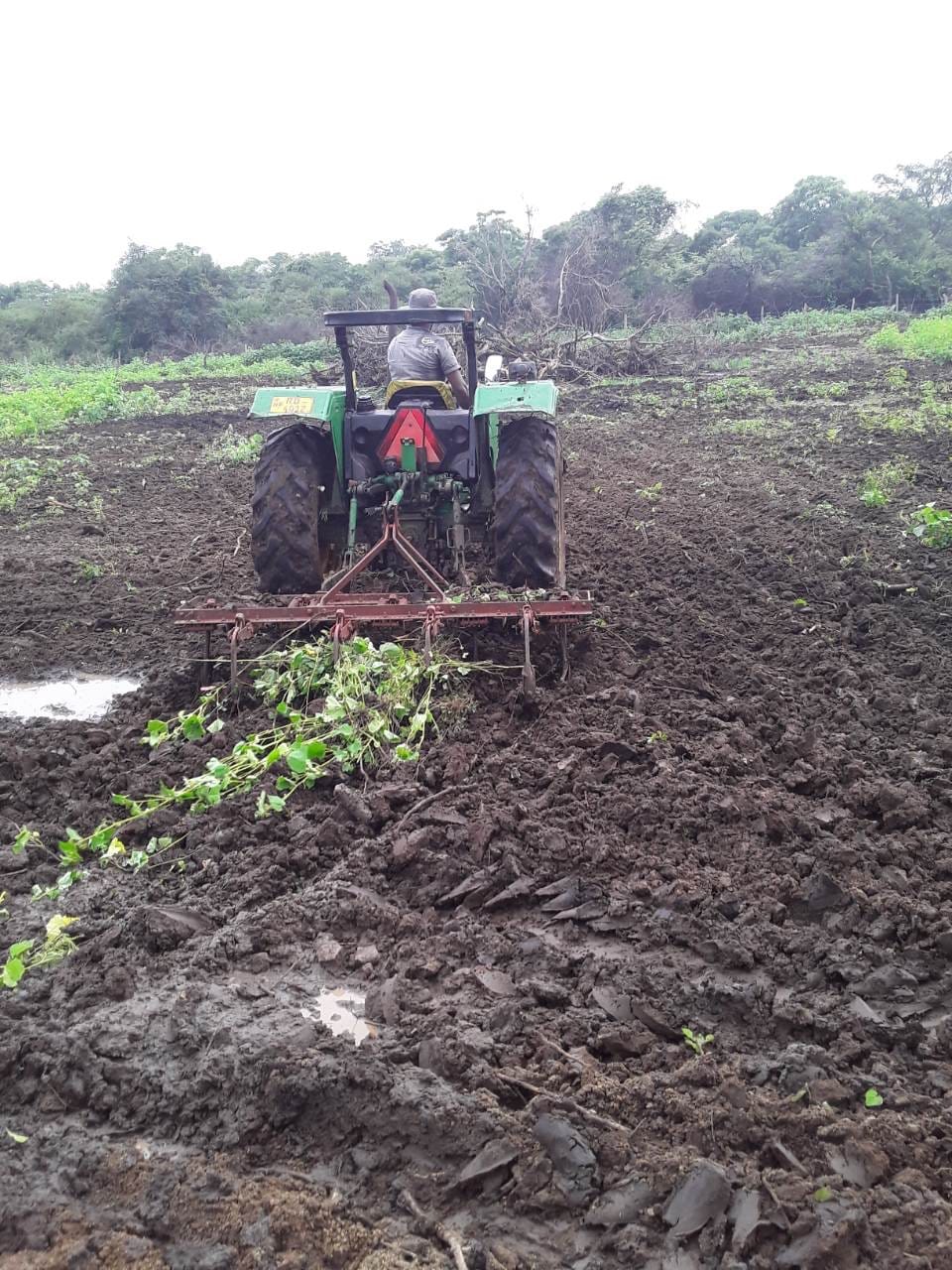 Land Cleaning (5) Land Cleaning (5)