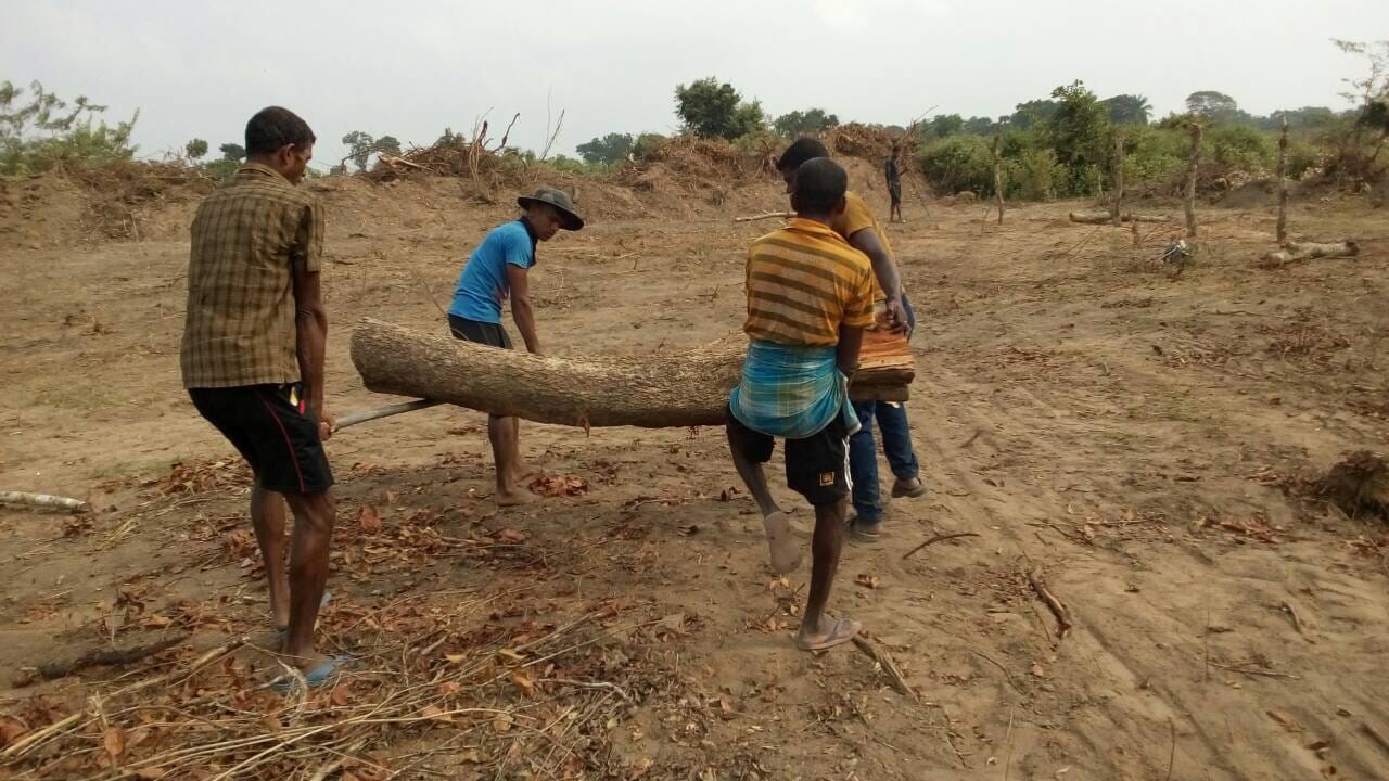 Panchenai farm (2) Panchenai farm (2)