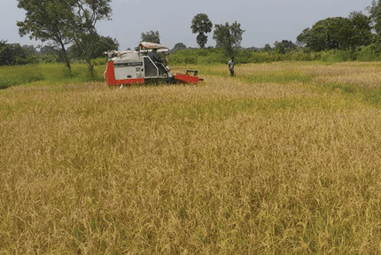 Screenshot 2025-06-19 200006 Screenshot 2025-06-19 200006